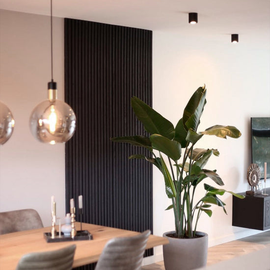 modern dining room with black accent wall and birds of paradise plant
